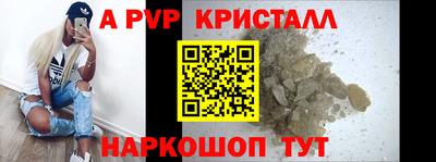 индика Камышлов