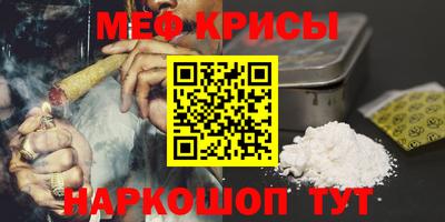 индика Камышлов