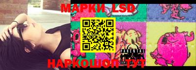 индика Камышлов