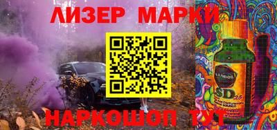 индика Камышлов