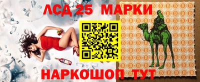 индика Камышлов