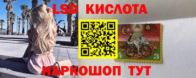 шишки Кандалакша