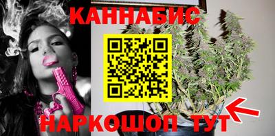 индика Камышлов