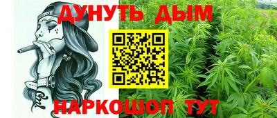 индика Камышлов
