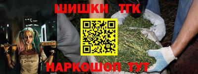 индика Камышлов