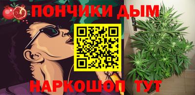 индика Камышлов
