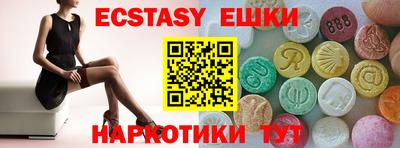 индика Камышлов