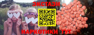 индика Камышлов