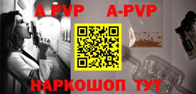 индика Камышлов