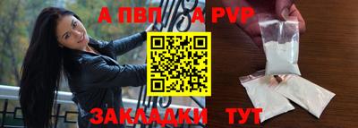 индика Камышлов