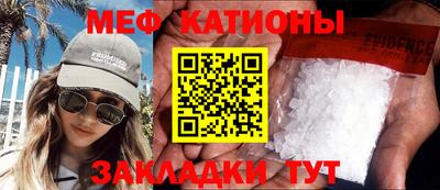 индика Камышлов